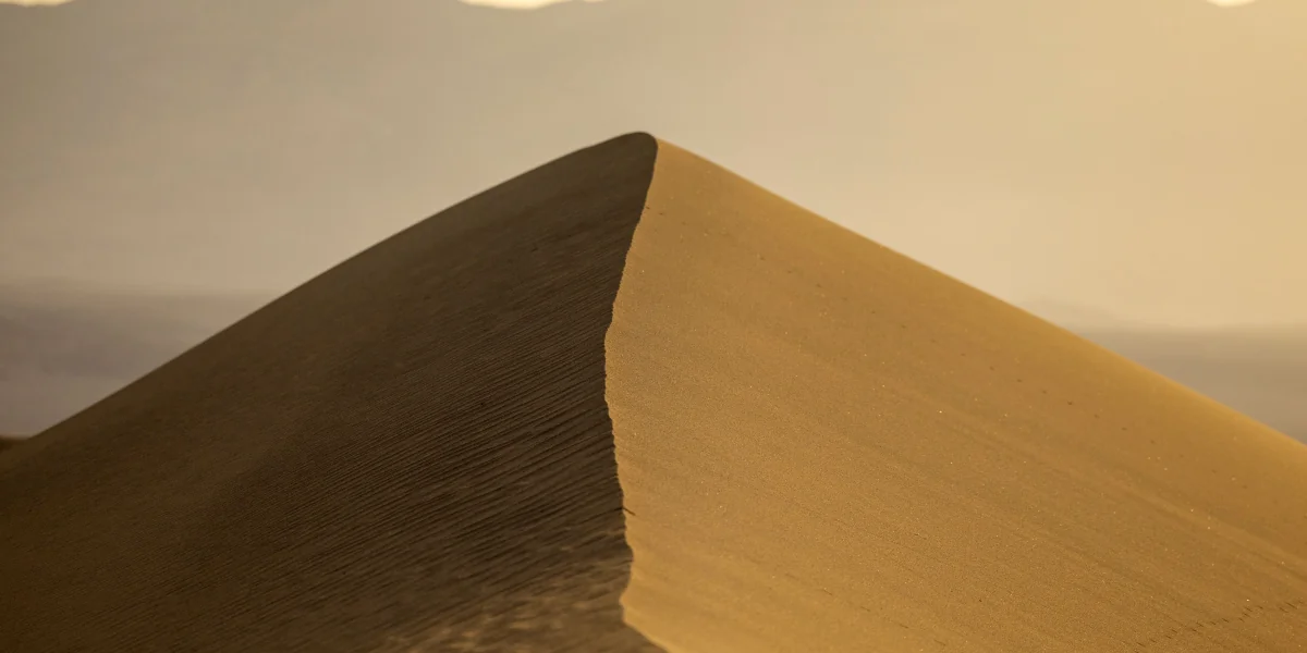 Wind-shaped sand dunes curve towards distant mountains in warm morning light.