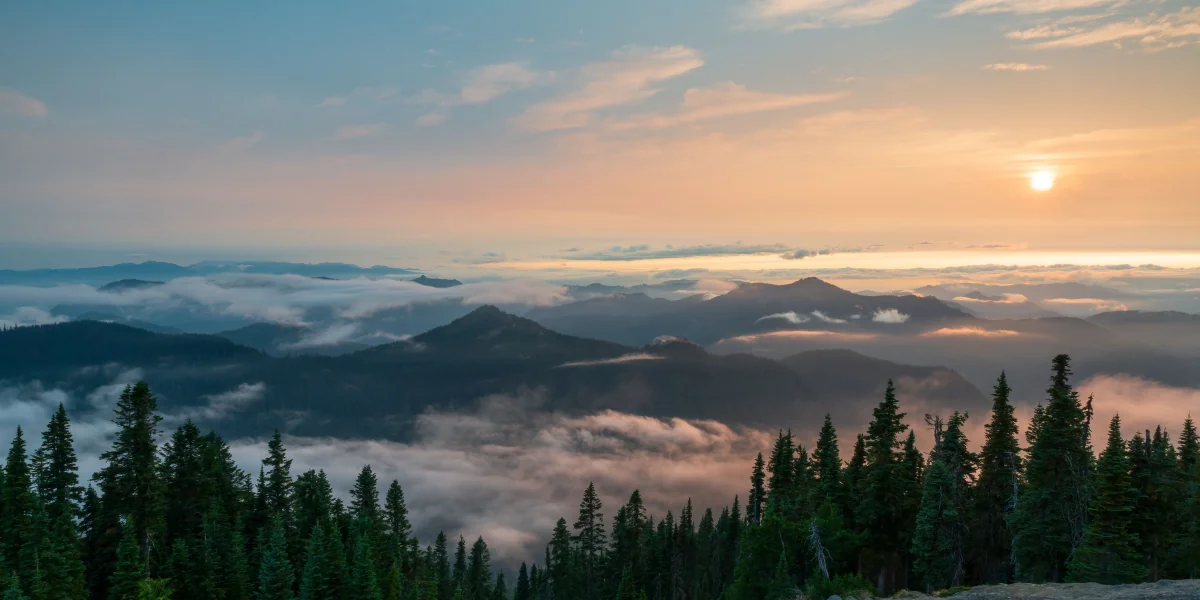 Morning light reaches across distant mountains above a forest covered in mist.